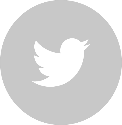 twitter icon twitter icon